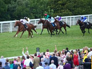 Dutch Connection is set to run in Sunday's Group 1 at Deauville
